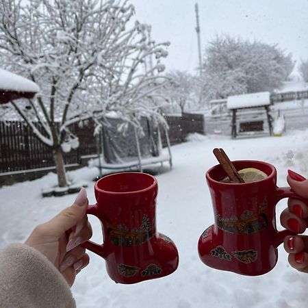 Vila Georgeta Zărneşti Buitenkant foto