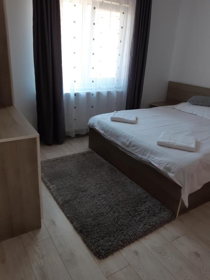 Vila Georgeta Zărneşti Buitenkant foto