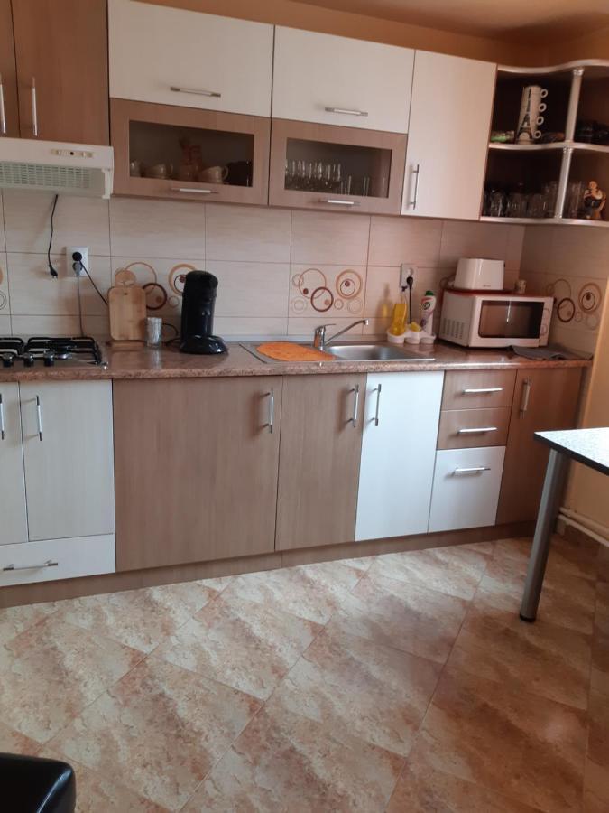 Vila Georgeta Zărneşti Buitenkant foto