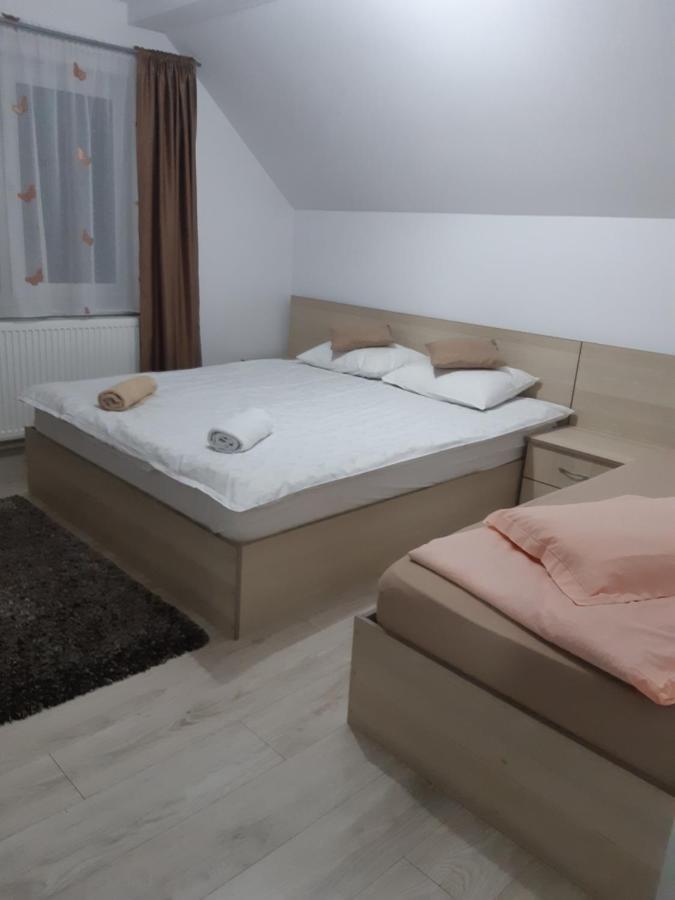 Vila Georgeta Zărneşti Buitenkant foto