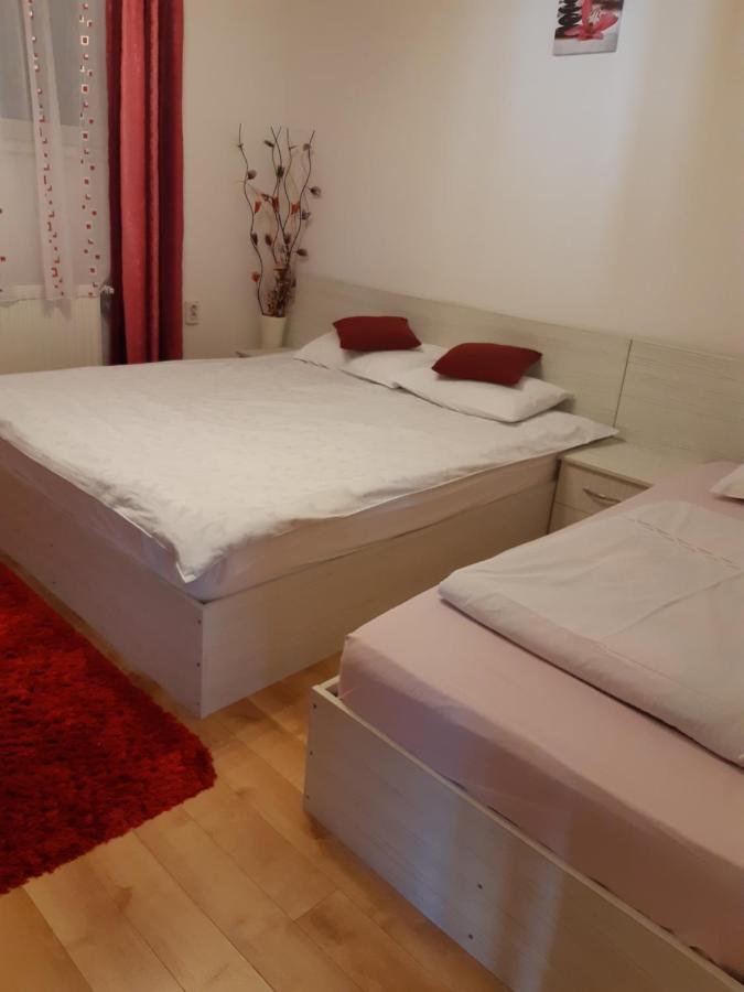 Vila Georgeta Zărneşti Buitenkant foto