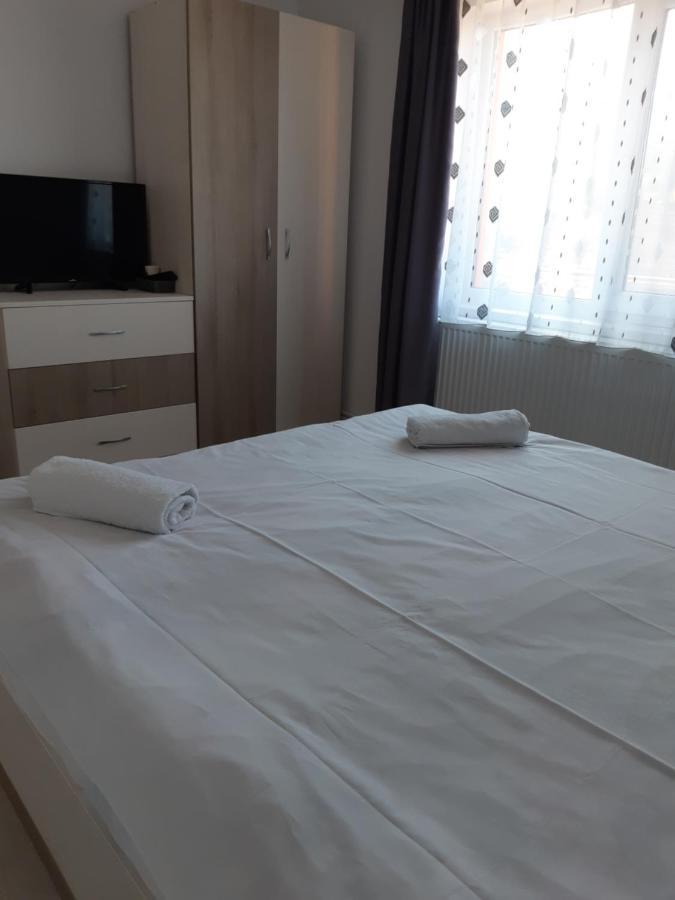 Vila Georgeta Zărneşti Buitenkant foto