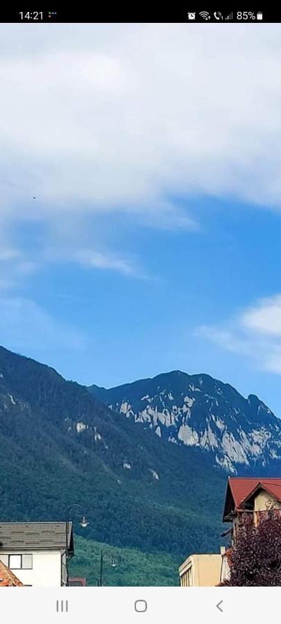 Vila Georgeta Zărneşti Buitenkant foto