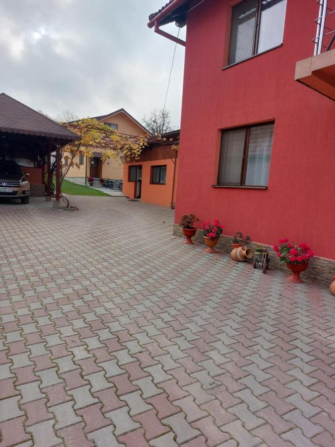 Vila Georgeta Zărneşti Buitenkant foto