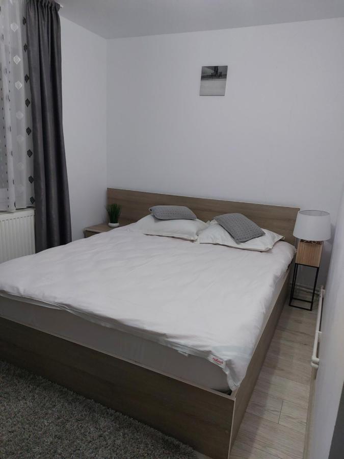 Vila Georgeta Zărneşti Buitenkant foto