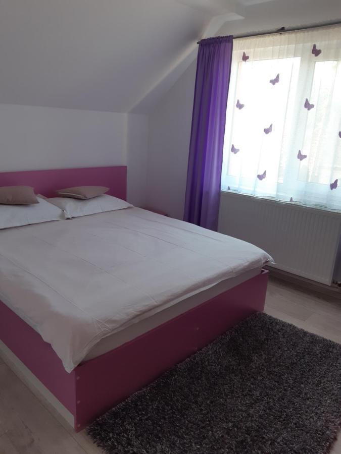 Vila Georgeta Zărneşti Buitenkant foto