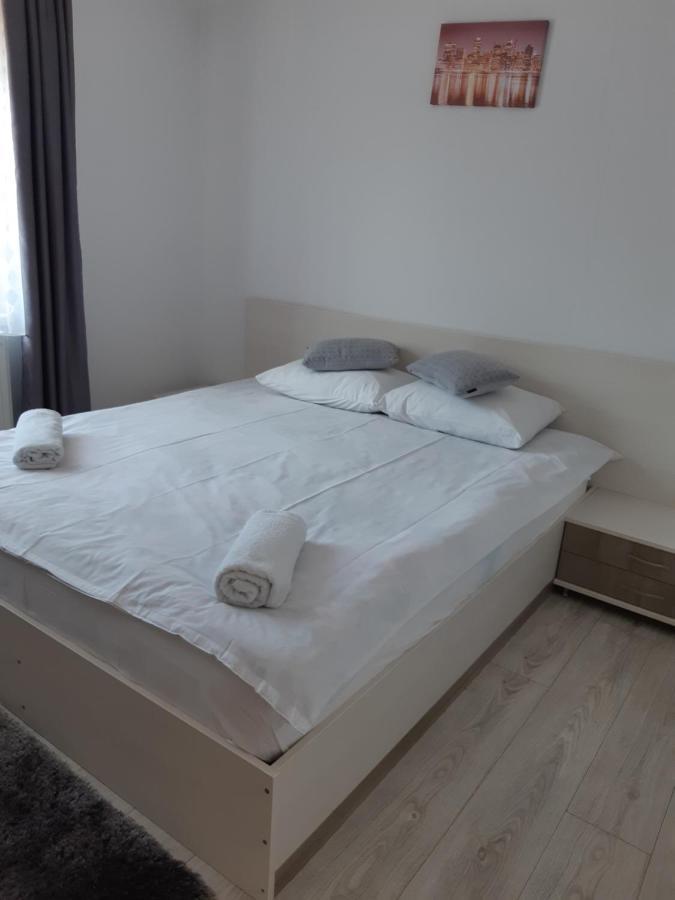 Vila Georgeta Zărneşti Buitenkant foto