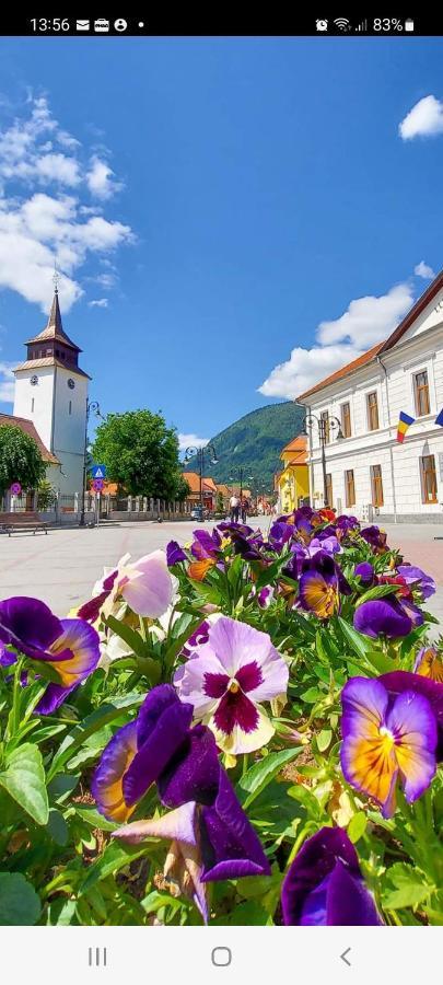 Vila Georgeta Zărneşti Buitenkant foto