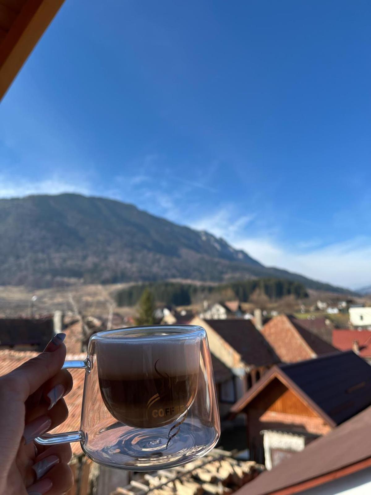 Vila Georgeta Zărneşti Buitenkant foto