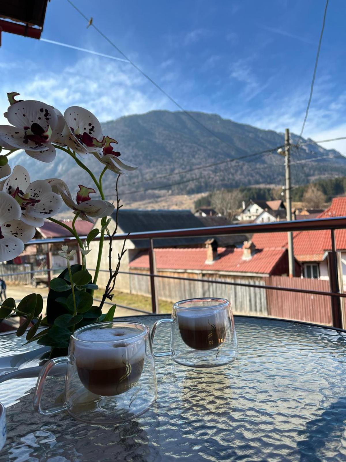 Vila Georgeta Zărneşti Buitenkant foto