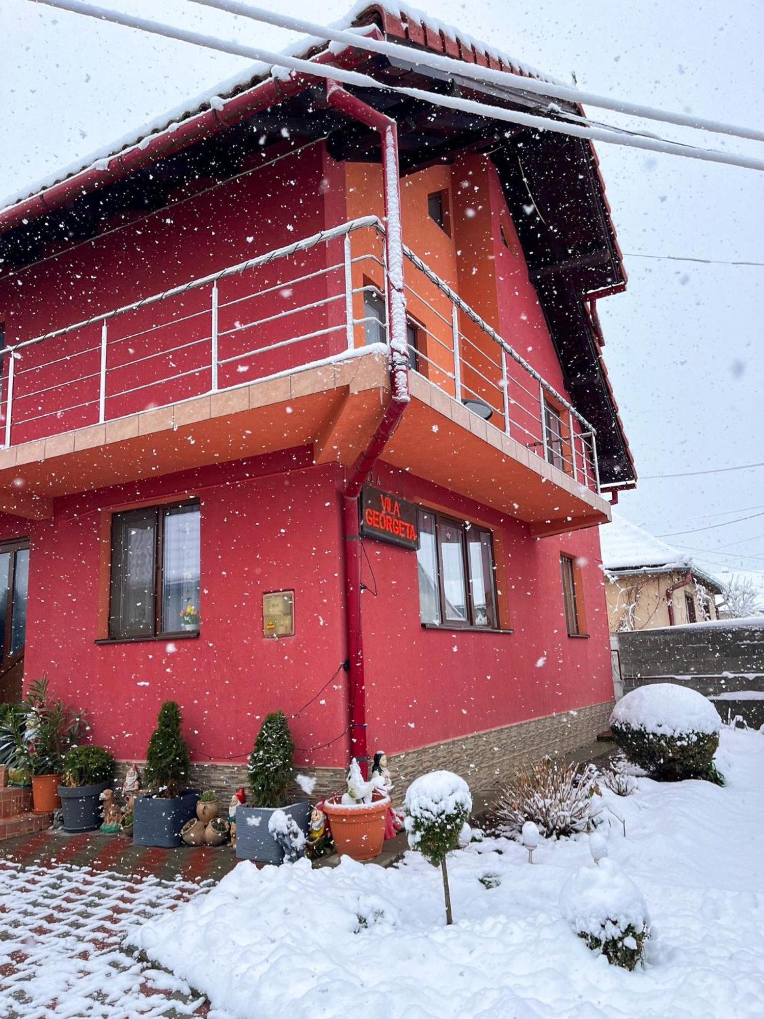 Vila Georgeta Zărneşti Buitenkant foto